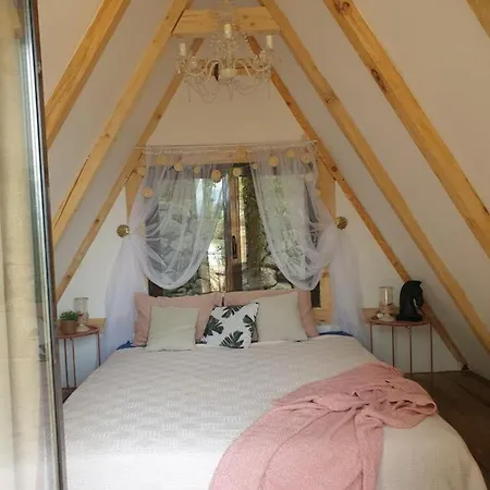 Rock Oak * イモツキ