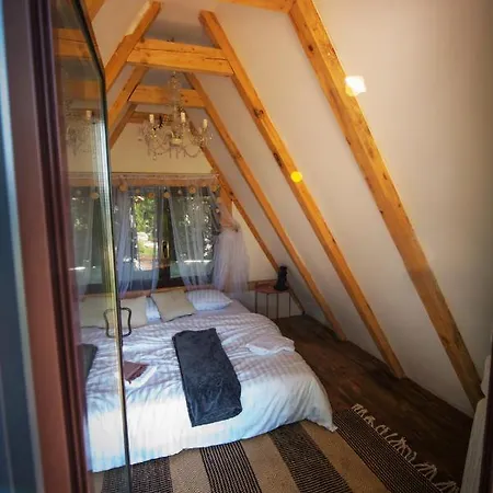 Rock Oak イモツキ